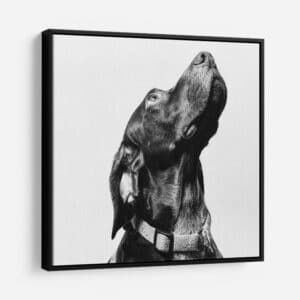 Square Framed Canvas